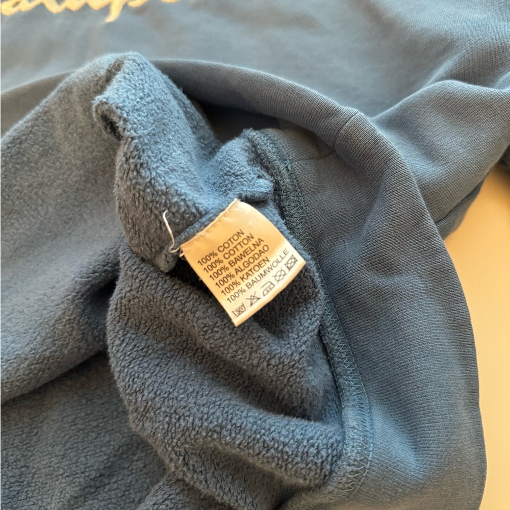 Champion Hoodie Original Rochester New York RU Champion Sweatshirt - Picture 13 of 14